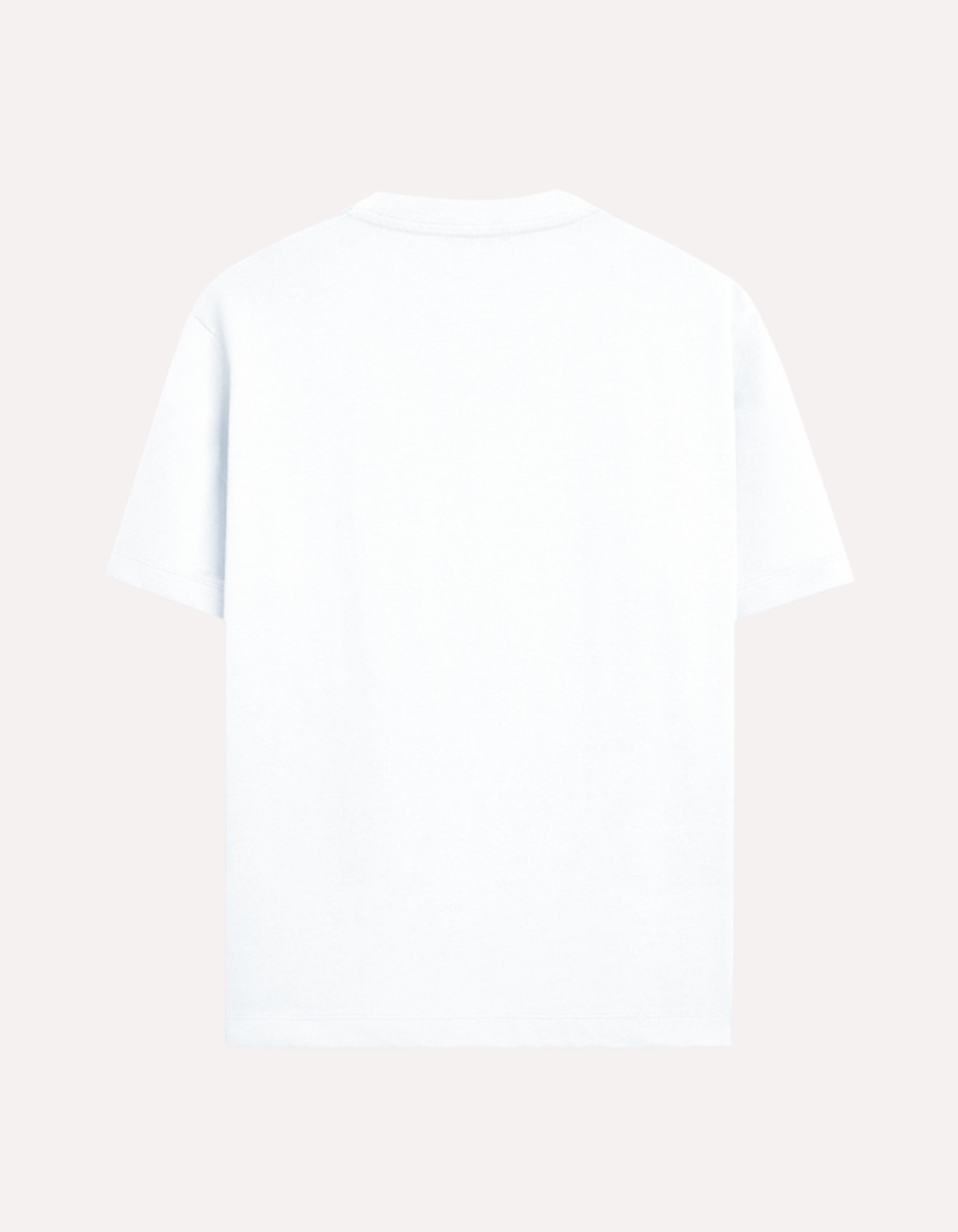 Unisex Oversized Standard T-Shirt