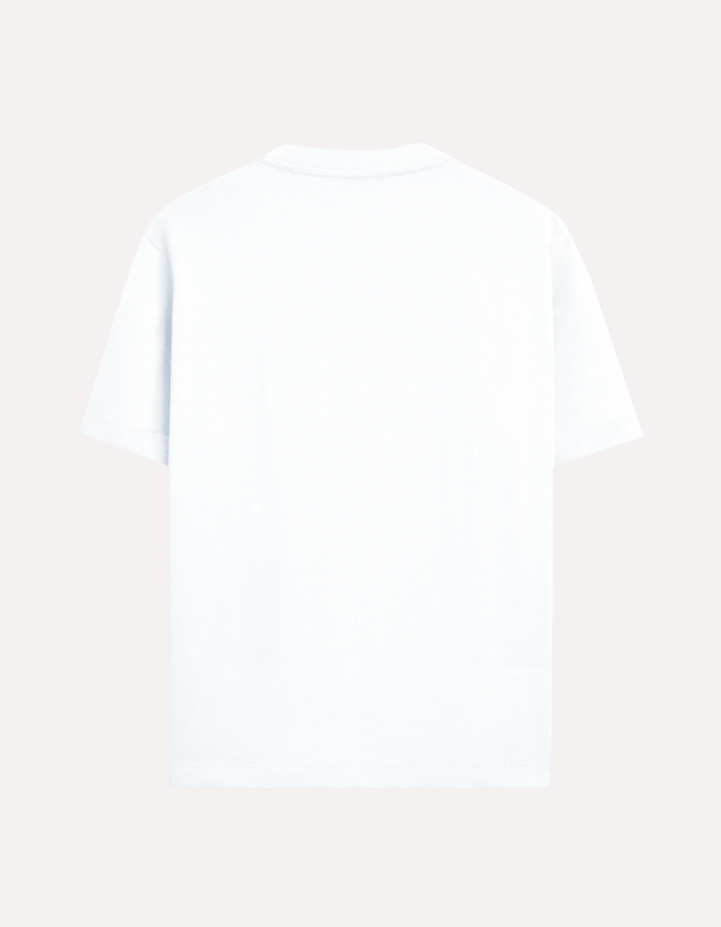 Unisex Oversized Standard T-Shirt